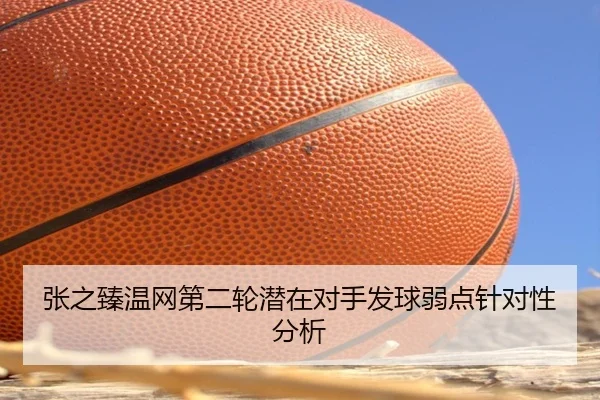 张之臻温网第二轮潜在对手发球弱点针对性分析